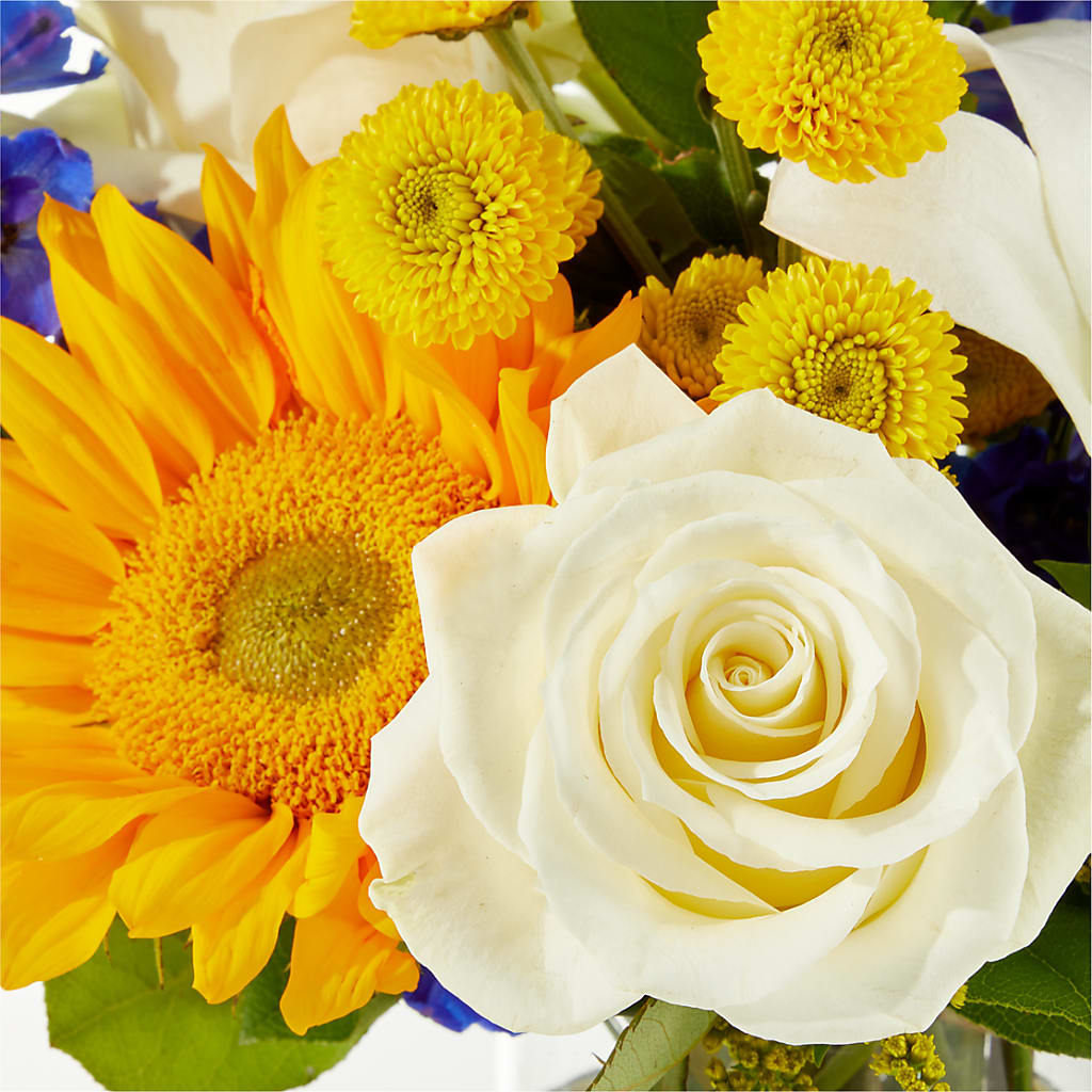 Stargazing Bouquet – DANIELLE'S FLORIST, Rockaway Park NY