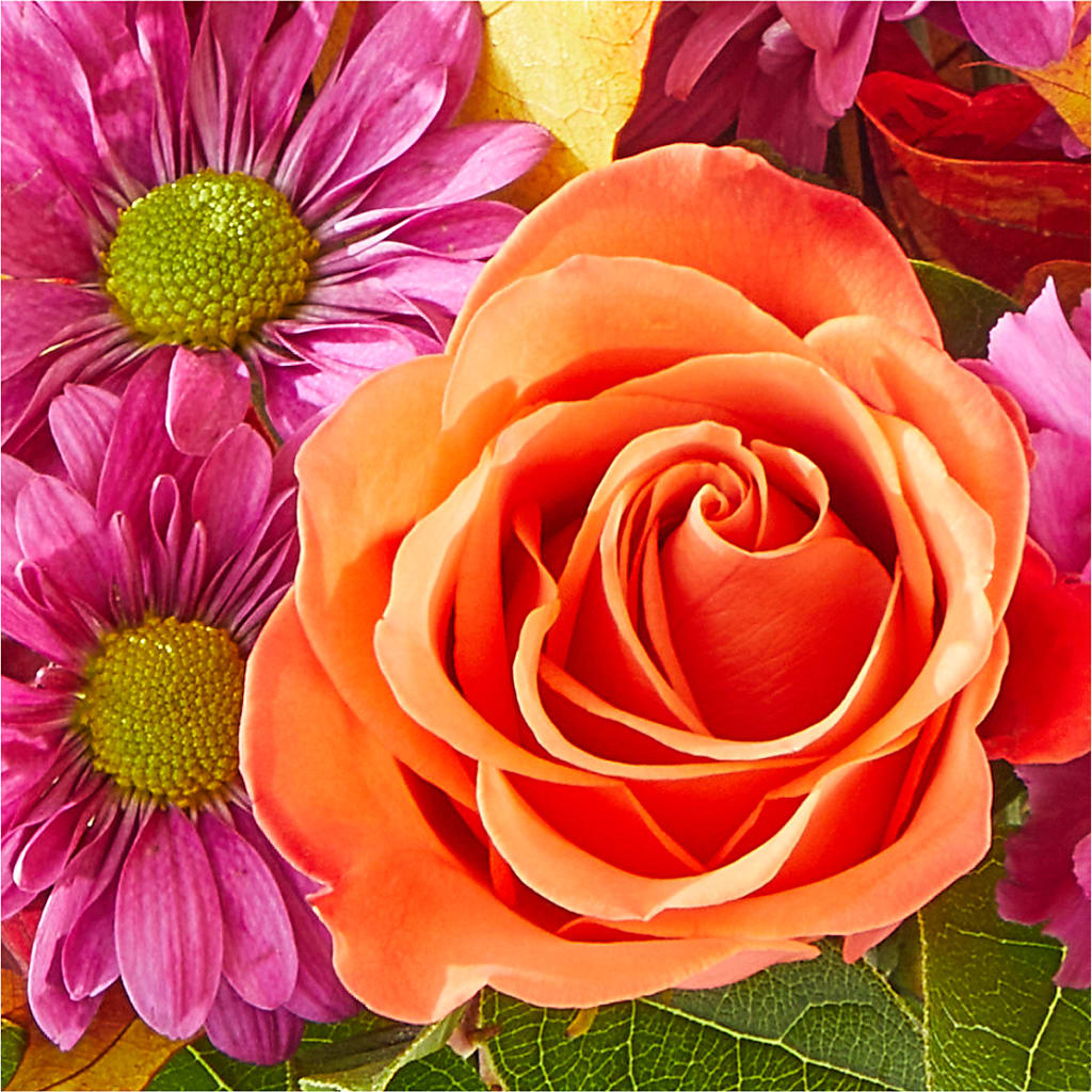 Mum's the Word Bouquet – DANIELLE'S FLORIST, Rockaway Park NY