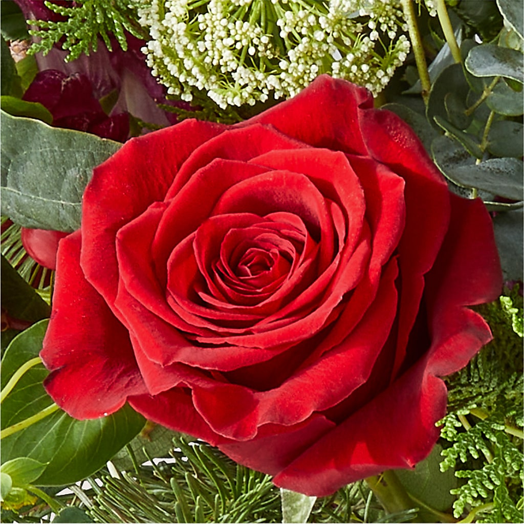 Cranberry Fizz Bouquet – DANIELLE'S FLORIST, Rockaway Park NY