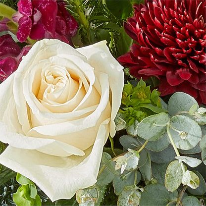 Cranberry Fizz Bouquet – DANIELLE'S FLORIST, Rockaway Park NY