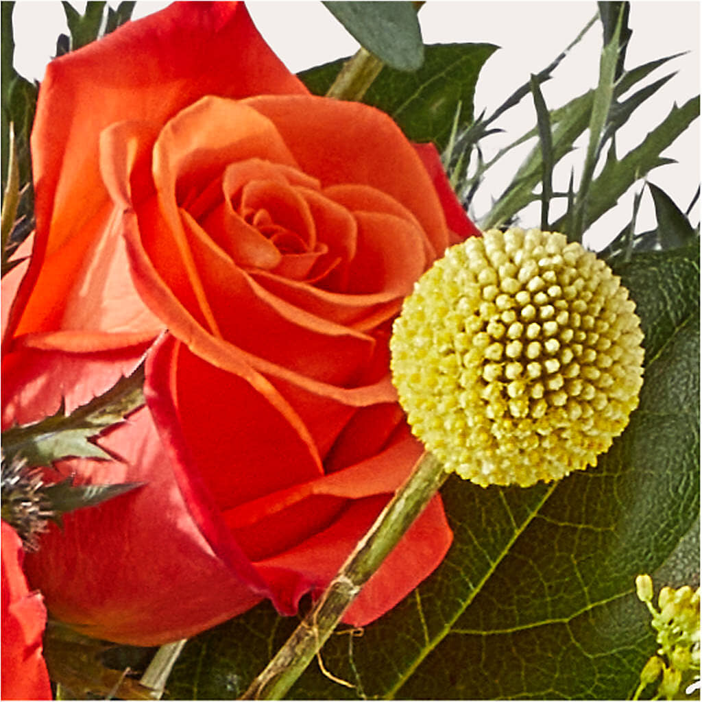 Disco Bouquet – DANIELLE'S FLORIST, Rockaway Park NY