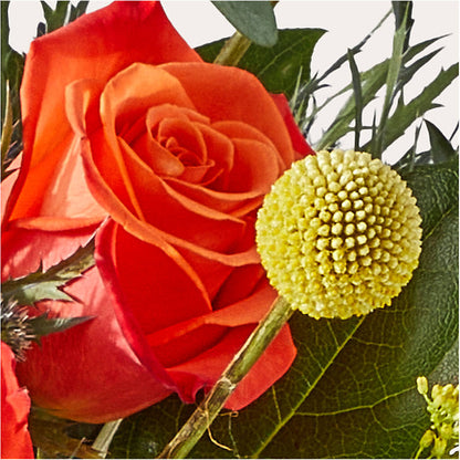 Disco Bouquet – DANIELLE'S FLORIST, Rockaway Park NY
