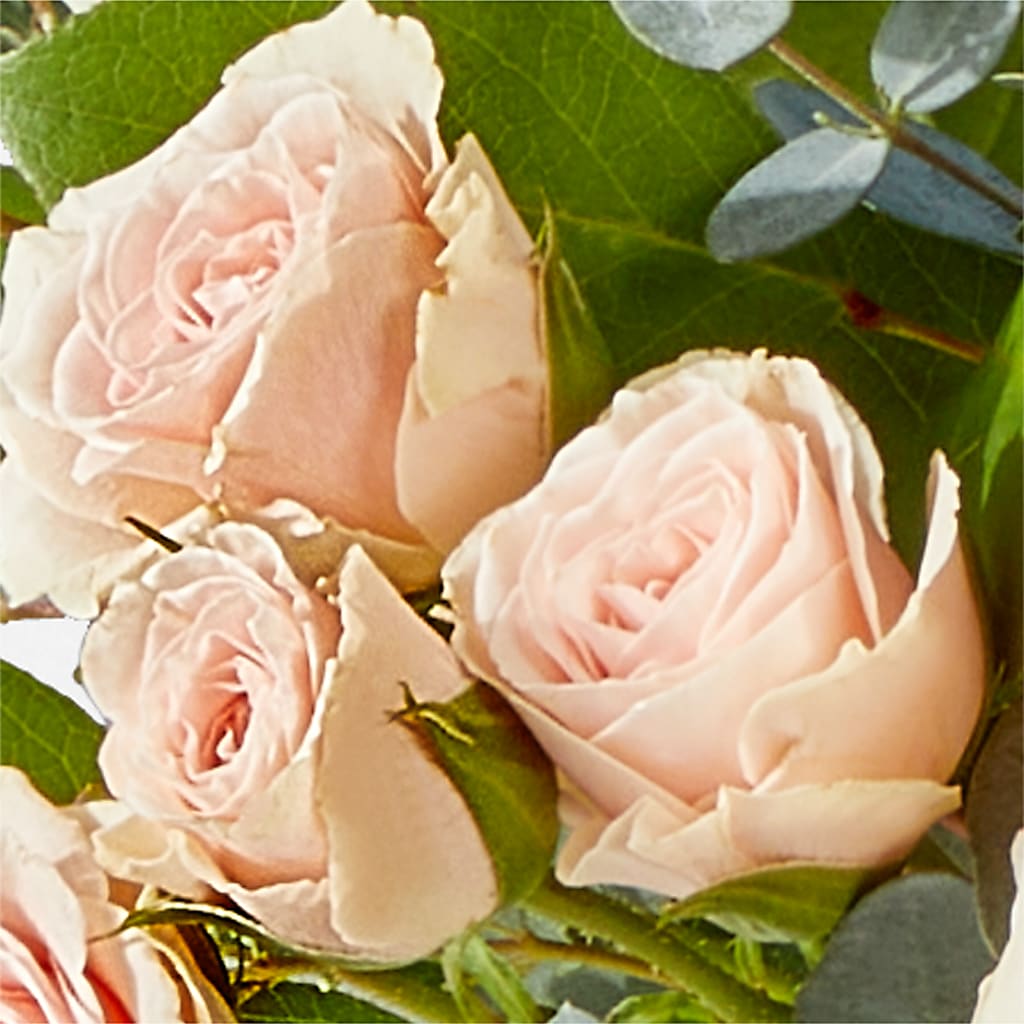 Inspired Bouquet – DANIELLE'S FLORIST, Rockaway Park NY