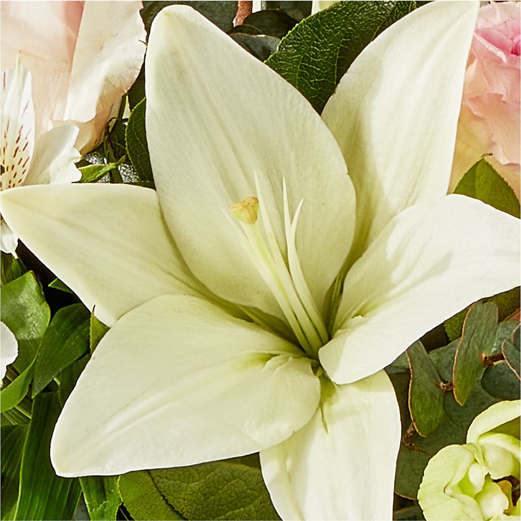 Ballet Slippers Bouquet – DANIELLE'S FLORIST, Rockaway Park NY