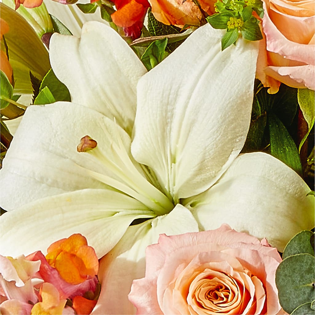 Grapefruit Splash Bouquet – DANIELLE'S FLORIST, Rockaway Park NY
