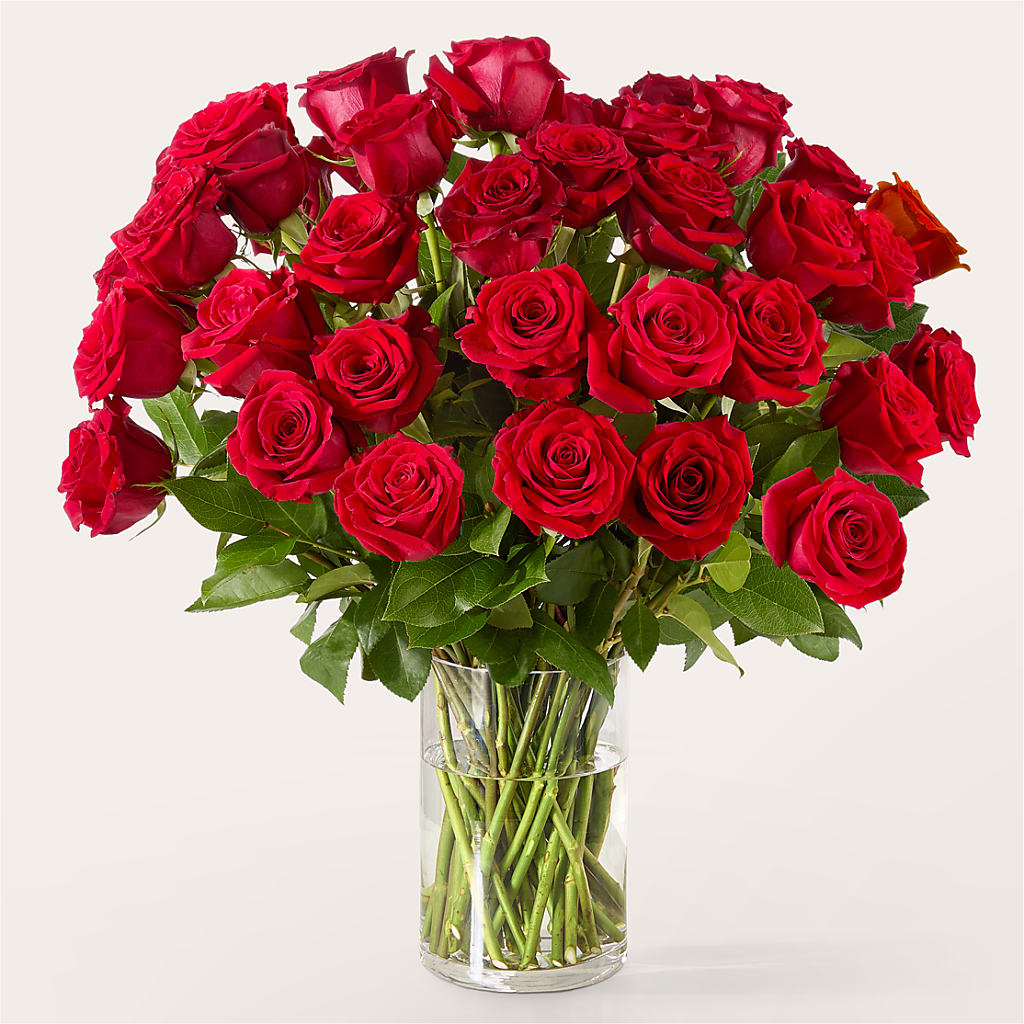 The One Red Rose Bouquet – DANIELLE'S FLORIST, Rockaway Park NY