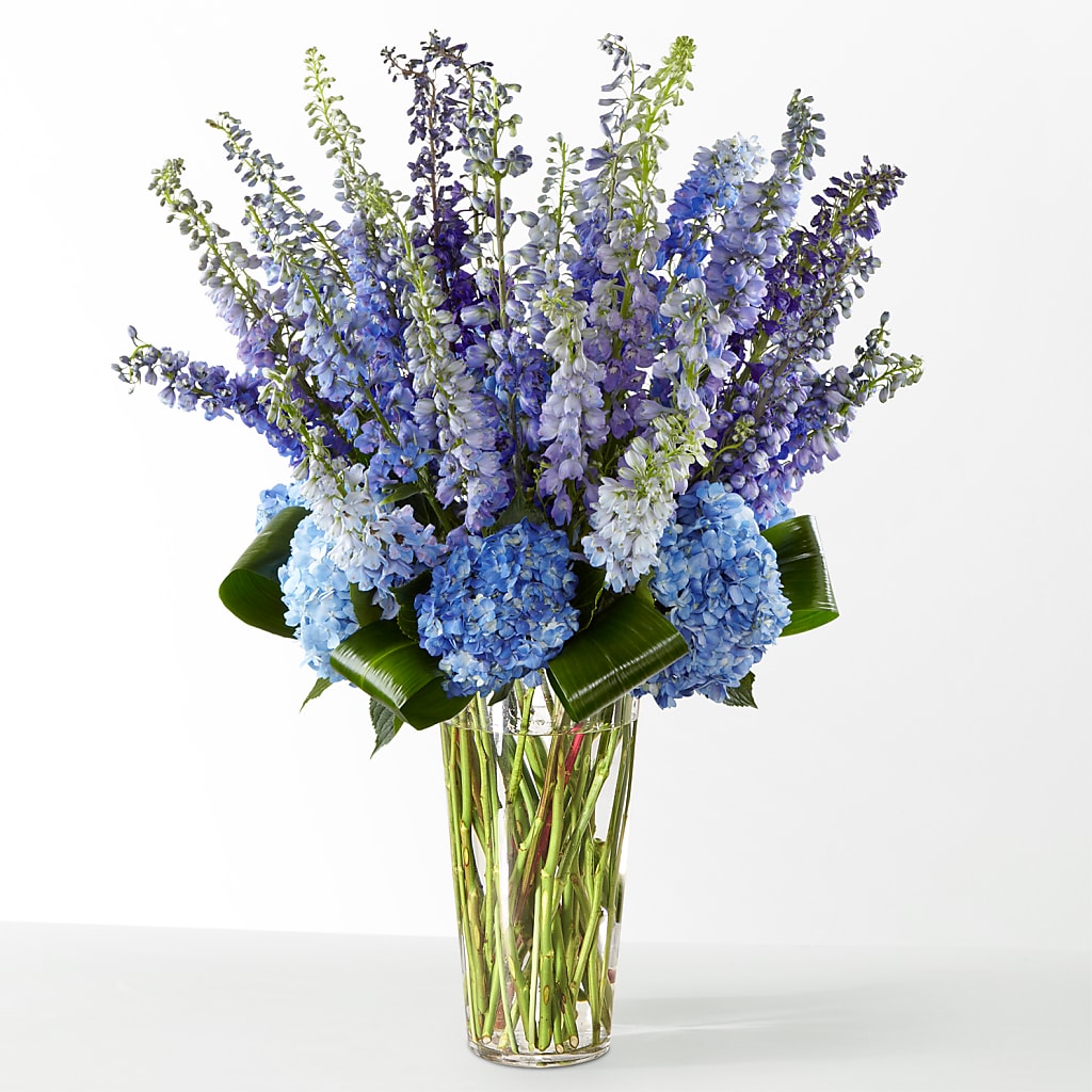 The Editorial – DANIELLE'S FLORIST, Rockaway Park NY