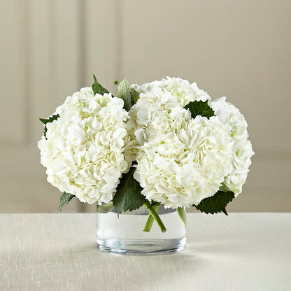White Hydrangea Bouquet – DANIELLE'S FLORIST, Rockaway Park NY