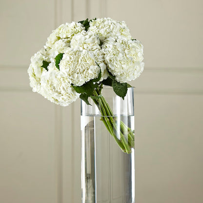 White Hydrangea Hand-Tied Bouquet – DANIELLE'S FLORIST, Rockaway Park NY