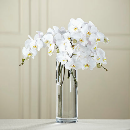 White Phalaenopsis Bouquet – DANIELLE'S FLORIST, Rockaway Park NY